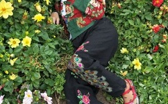 俺去也只要记得输入就能找到家